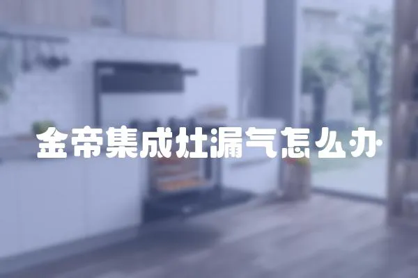 金帝集成灶漏氣怎么辦