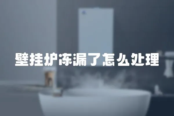 壁掛爐凍漏了怎么處理