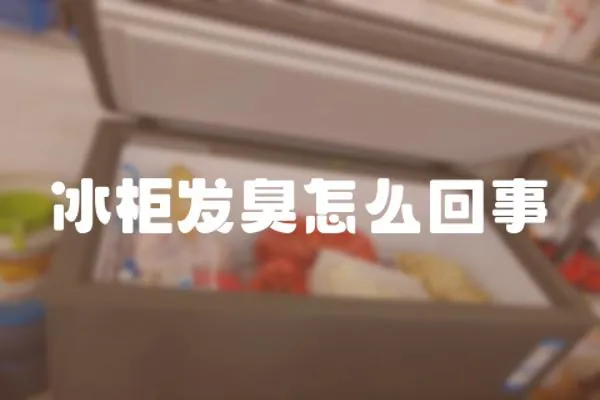 冰柜發臭怎么回事