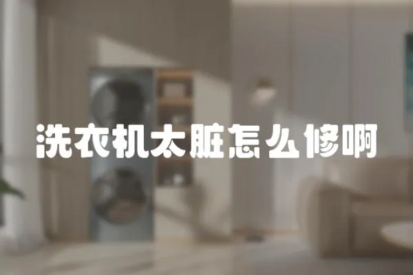 洗衣機太臟怎么修啊