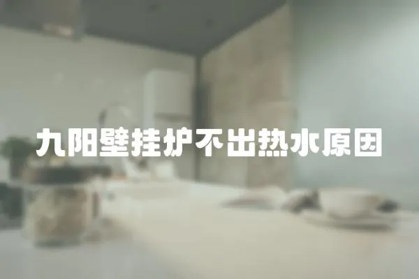 九陽壁掛爐不出熱水原因