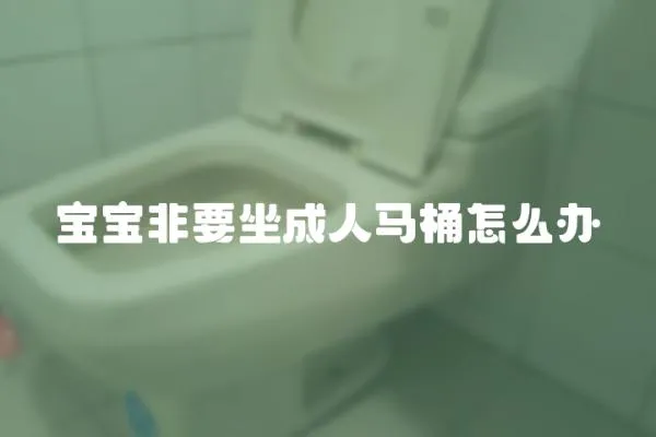 寶寶非要坐成人馬桶怎么辦