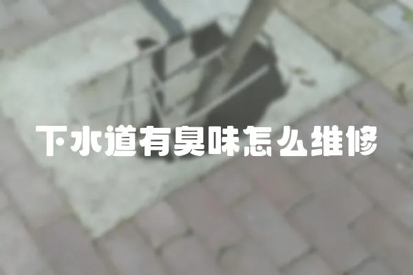 下水道有臭味怎么維修