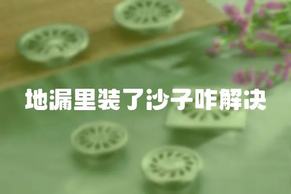 地漏里裝了沙子咋解決