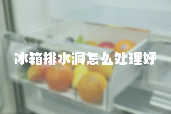冰箱排水洞怎么處理好