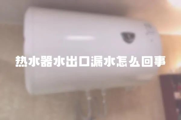 熱水器水出口漏水怎么回事