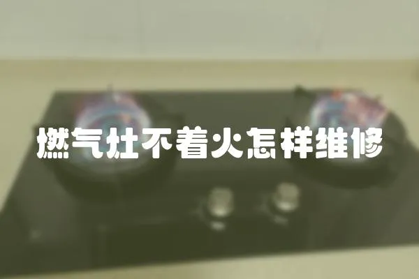 燃?xì)庠畈恢鹪鯓泳S修