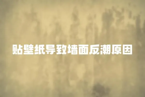 貼壁紙導致墻面反潮原因