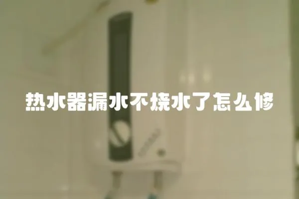 熱水器漏水不燒水了怎么修