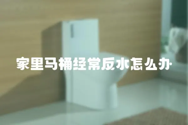 家里馬桶經(jīng)常反水怎么辦