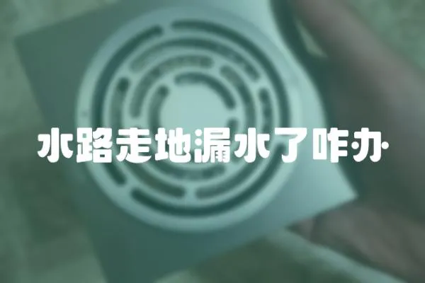 水路走地漏水了咋辦