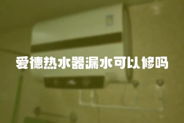 愛德熱水器漏水可以修嗎