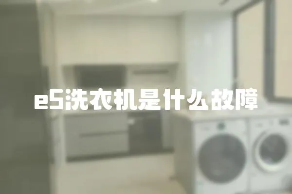 e5洗衣機(jī)是什么故障