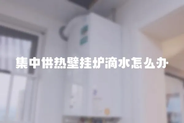集中供熱壁掛爐滴水怎么辦