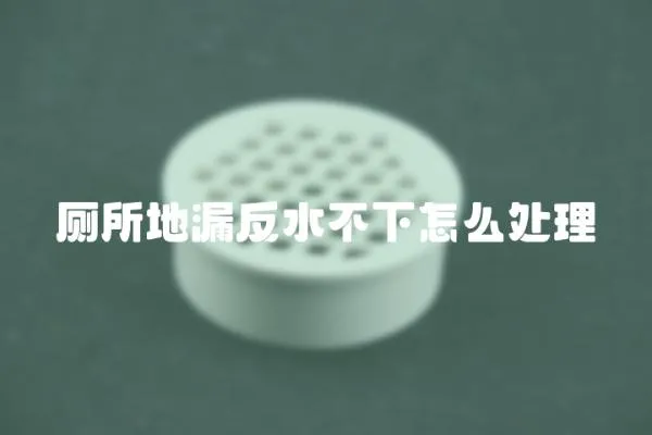 廁所地漏反水不下怎么處理