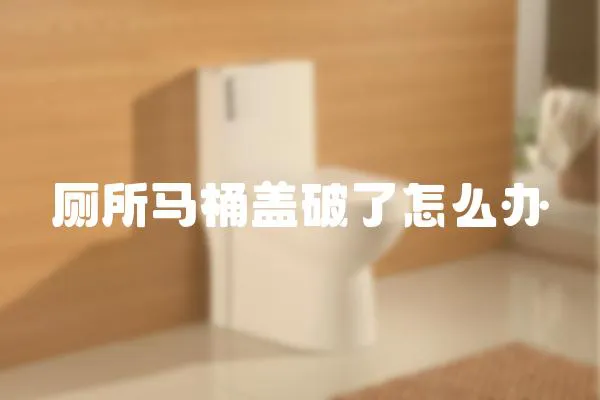 廁所馬桶蓋破了怎么辦