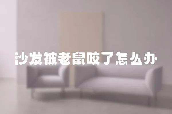 沙發被老鼠咬了怎么辦