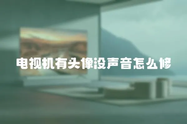 電視機有頭像沒聲音怎么修