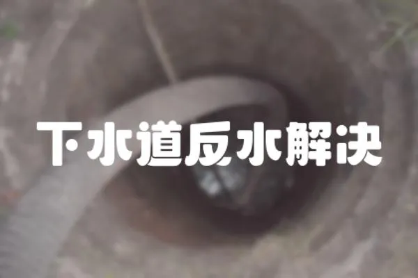 下水道反水解決
