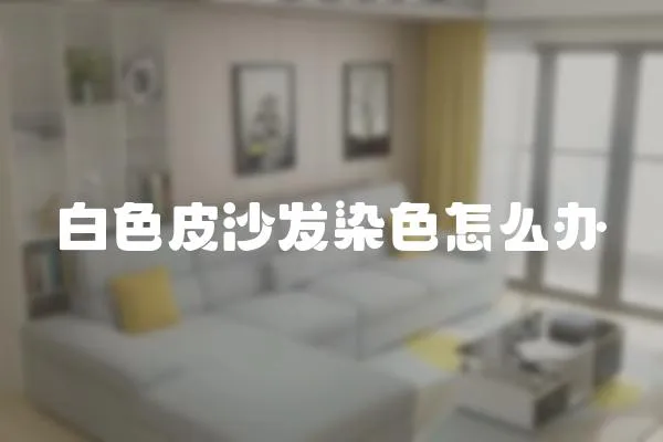 白色皮沙發染色怎么辦