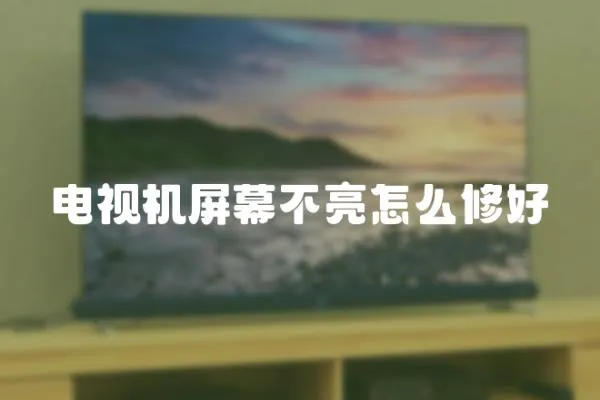 電視機(jī)屏幕不亮怎么修好