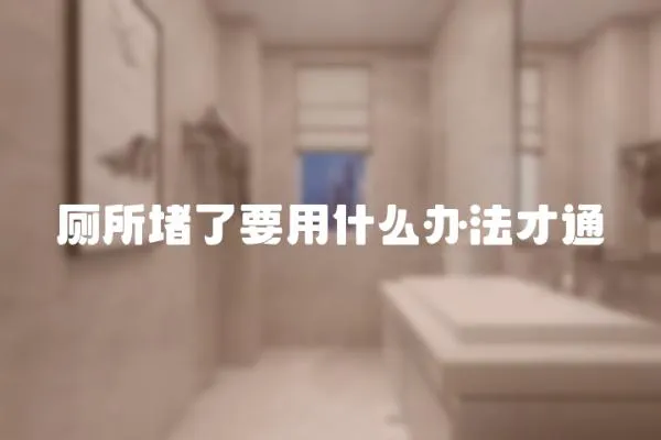 廁所堵了要用什么辦法才通