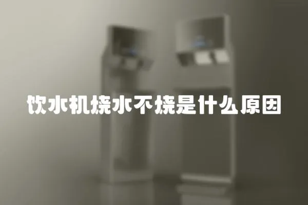 饮水机烧水不烧是什么原因