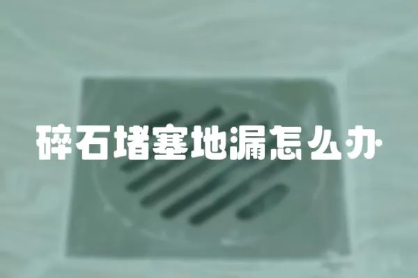 碎石堵塞地漏怎么辦