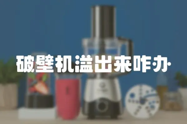 破壁机溢出来咋办