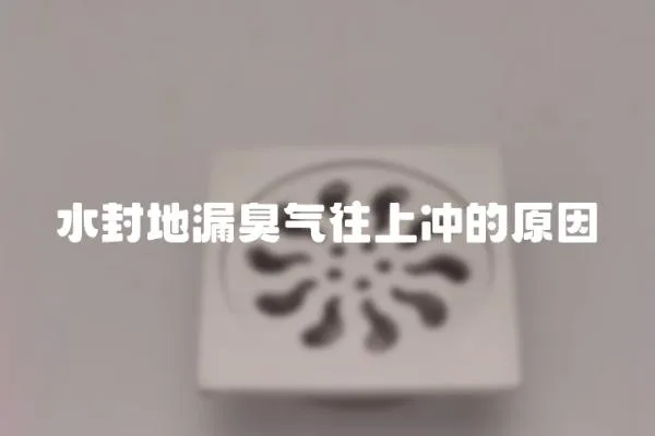 水封地漏臭氣往上沖的原因
