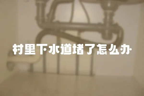 村里下水道堵了怎么辦
