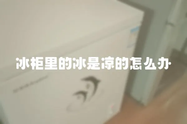 冰柜里的冰是涼的怎么辦