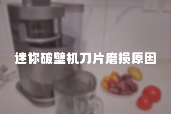 迷你破壁機刀片磨損原因