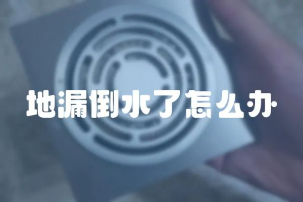 地漏倒水了怎么辦