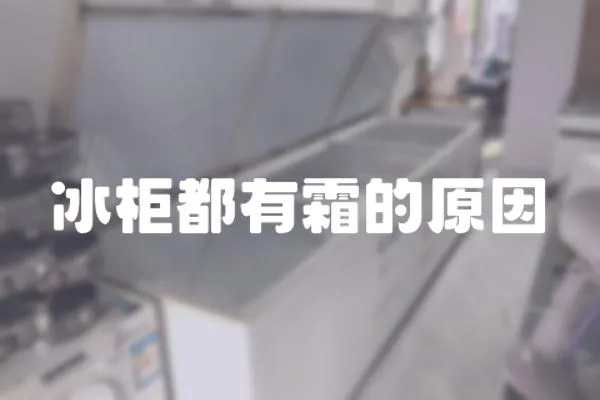冰柜都有霜的原因