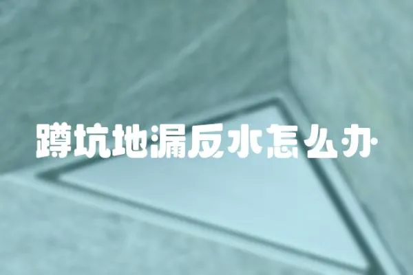 蹲坑地漏反水怎么辦