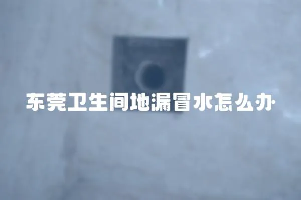 東莞衛生間地漏冒水怎么辦