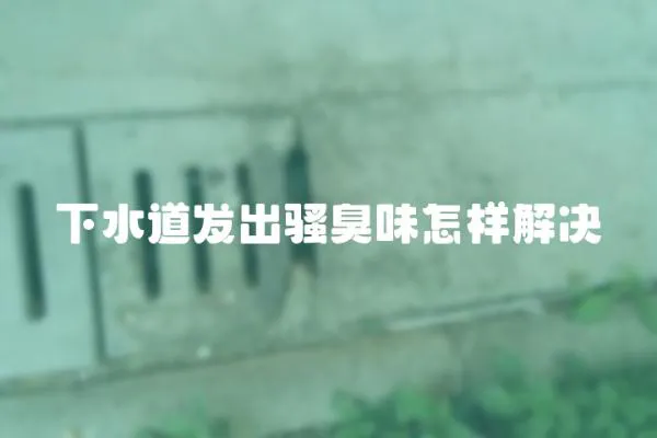 下水道發(fā)出騷臭味怎樣解決
