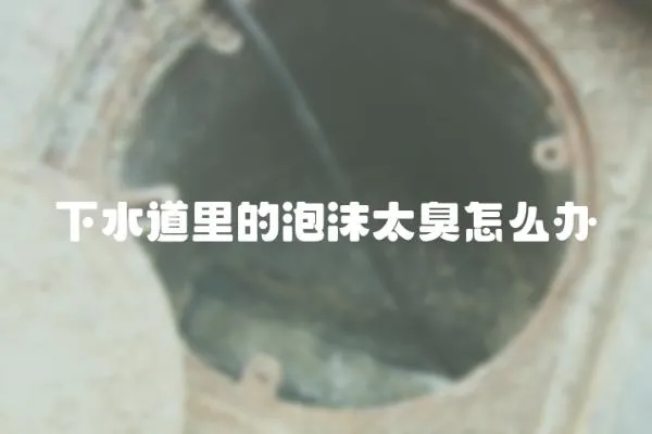 下水道里的泡沫太臭怎么辦