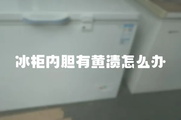 冰柜内胆有黄渍怎么办