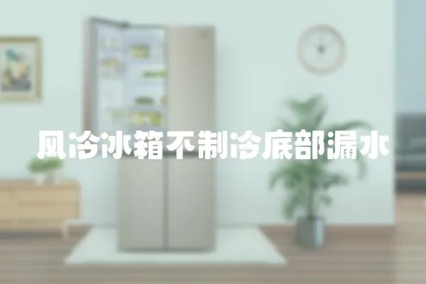 風冷冰箱不制冷底部漏水