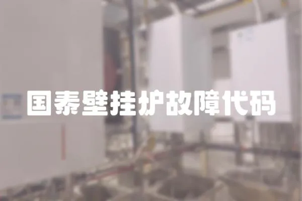 國泰壁掛爐故障代碼