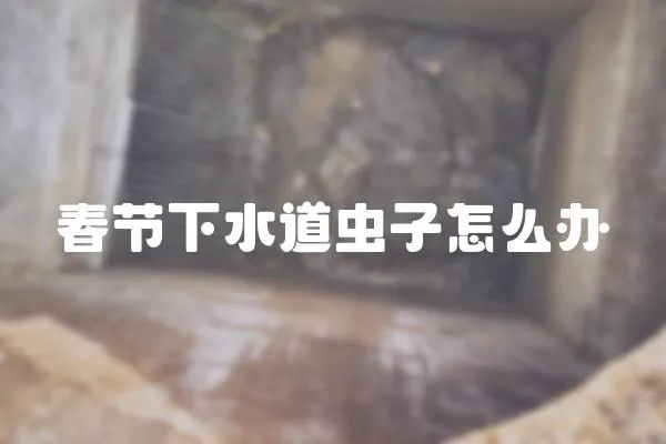 春節(jié)下水道蟲子怎么辦