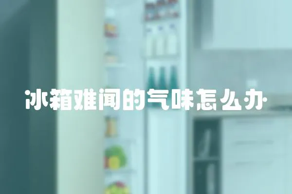冰箱難聞的氣味怎么辦