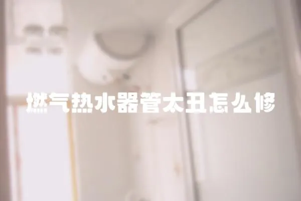 燃?xì)鉄崴鞴芴笤趺葱?></a></div>
                    <div   id=