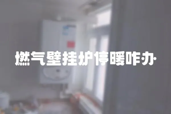 燃氣壁掛爐停暖咋辦