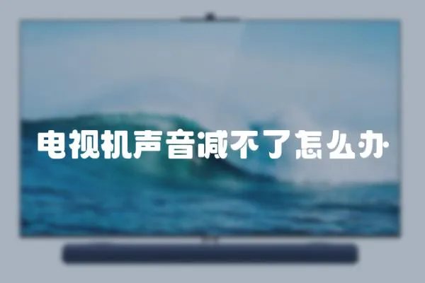 電視機聲音減不了怎么辦