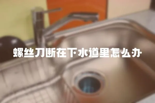 螺絲刀斷在下水道里怎么辦