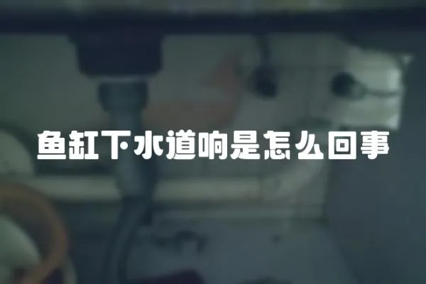 魚缸下水道響是怎么回事