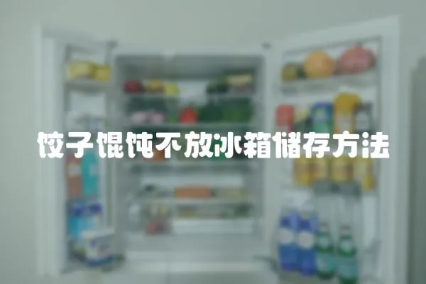 餃子餛飩不放冰箱儲(chǔ)存方法